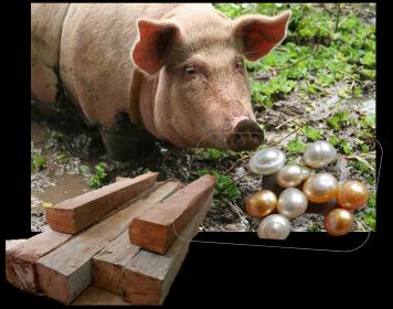 planks-pearls-pigs